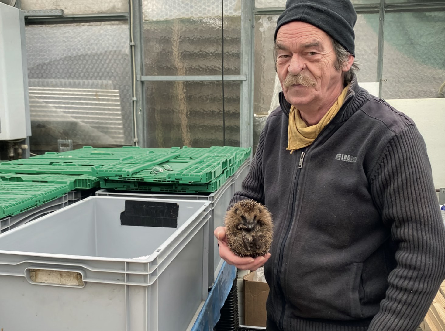 Otto Luzius mit Mütze und gelbem Halstuch hält im Gewächshaus einen eingerollten Igel in der Hand, daneben graue und grüne Kunststoffkisten.